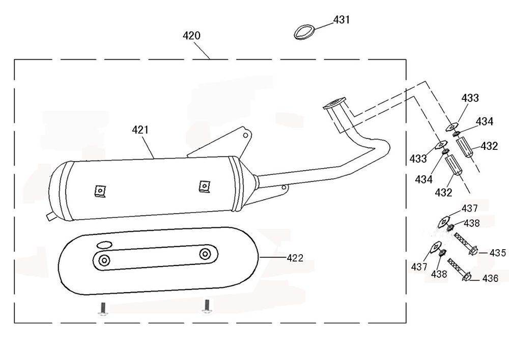 Exhaust Rover Riva II titanium