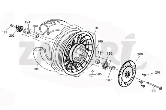 Front wheel Eagle-Wing Napoli brown