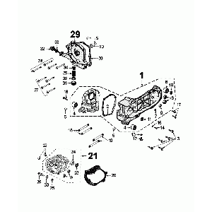 Carter Oliefilter - Peilstok Peugeot Django Euro 4