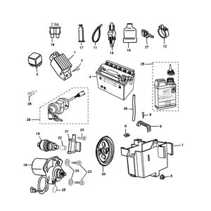 Electric parts Peugeot Ludix pro 2-Stroke