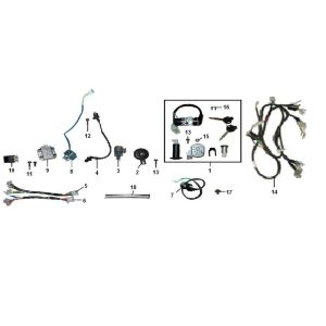 Electric parts Riva Sport VX50S 4-stroke