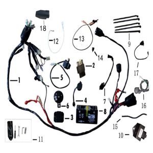 Electronic Parts BTC Ceo New