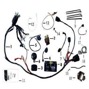 Electronic parts BTC Cruise
