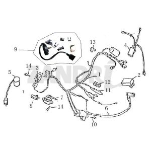Wiring Harness Ignition BTC Grande Retro GT1 coffee cream