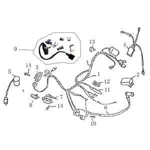 Wiring Harness Ignition Iva Roma light blue