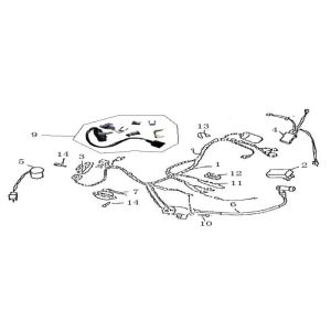 AGM GT champagne wiring harness