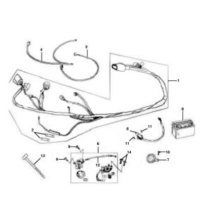 Berini Speedy 4-stroke wiring harness