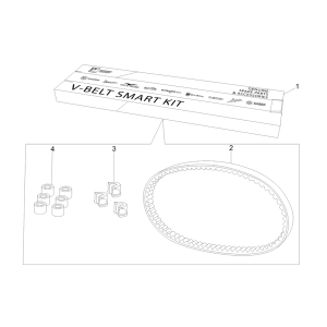 V-belt kit - Variator rollers Piaggio Typhoon 50 2-stroke Euro 3 2011