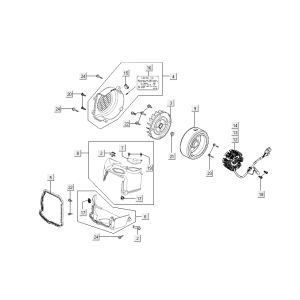 Cooling - Ignition Kymco New Dink 4-stroke white