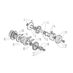 Clutch Beta Ark LC skull 2010 2-stroke