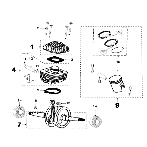 Crankshaft and Cylinder Peugeot Speedfight 3 AC Blue