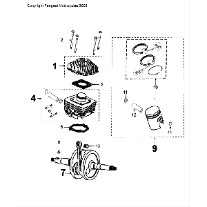 Crankshaft and Piston Peugeot Speedfight 4 LC blackblue