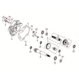 Vertanding - Overbrenging Sym Jet 14 50i Euro 5