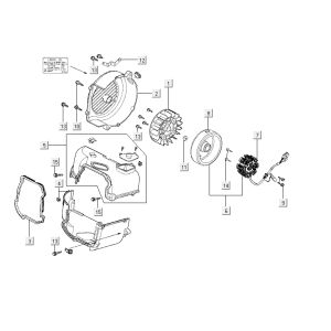 Ignition Cooling Kymco Agility Fat 12' 4-stroke oak metallic