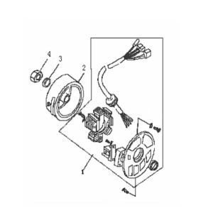 Ignition Generic Cracker red 2009 2-stroke