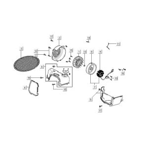 Inflammation Kymco Carry 4-stroke injection euro4 white
