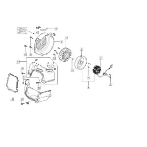 Ignition Kymco Carry 4-stroke white