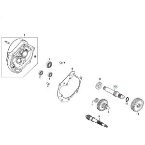 Transmission GY6 10/12 inch (EURO 2; BEFORE 2018)-Overbrenging GY6 10 inch