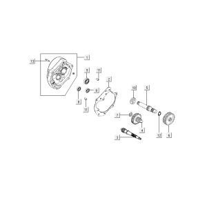 Transmission Kymco Agility 10' 4-stroke white silver
