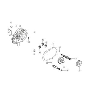 Transmission Kymco Agility 16'+ 4-stroke injection euro4 Red