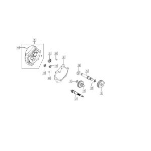 Transmission Kymco Carry 4-stroke white