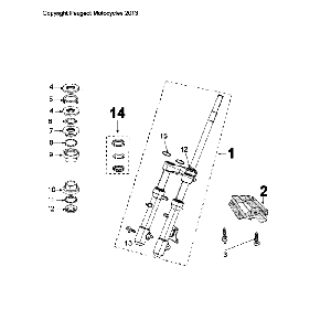 Front Fork - Handlebar-head bearing set Peugeot Citystar 50 Brown