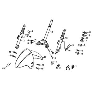 Voorvork/ voorspatbord/ balhoofdstel Sym XPRO 50 4-takt AC Euro 4 Black (BK-5560S)
