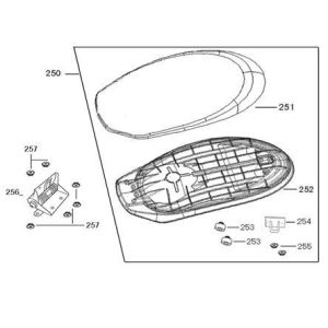 Saddle Edwards Tomorrow Legend red