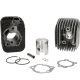 Cylinder Kit Vespa Ciao /Citta 65cc 43mm Polini Racing-38460