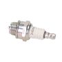 Spark plug Ngk BM6A