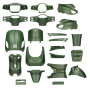Body / fairing kit  AGM VX50/VX50S/Riva/Riva Sport /China LX/S matt green 18 pcs